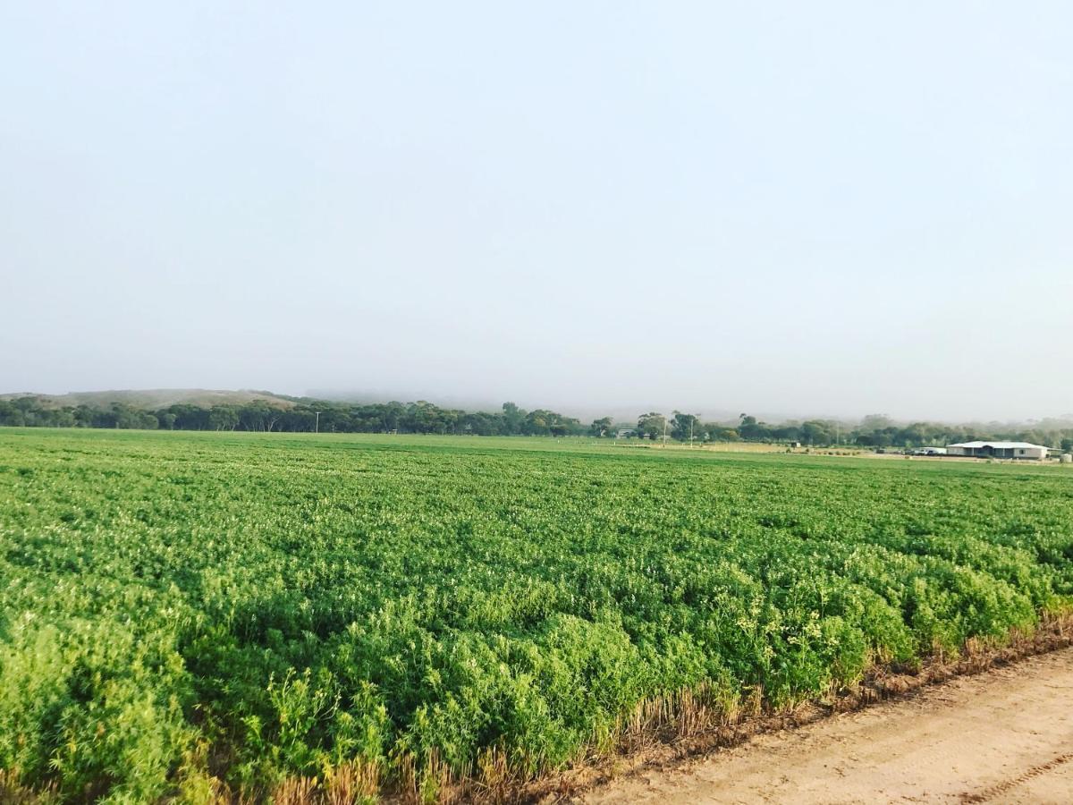 The Mains Guest House 2 Bedroom Farm Stay Corrigin المظهر الخارجي الصورة